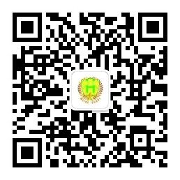 维和童军8天成长独立营